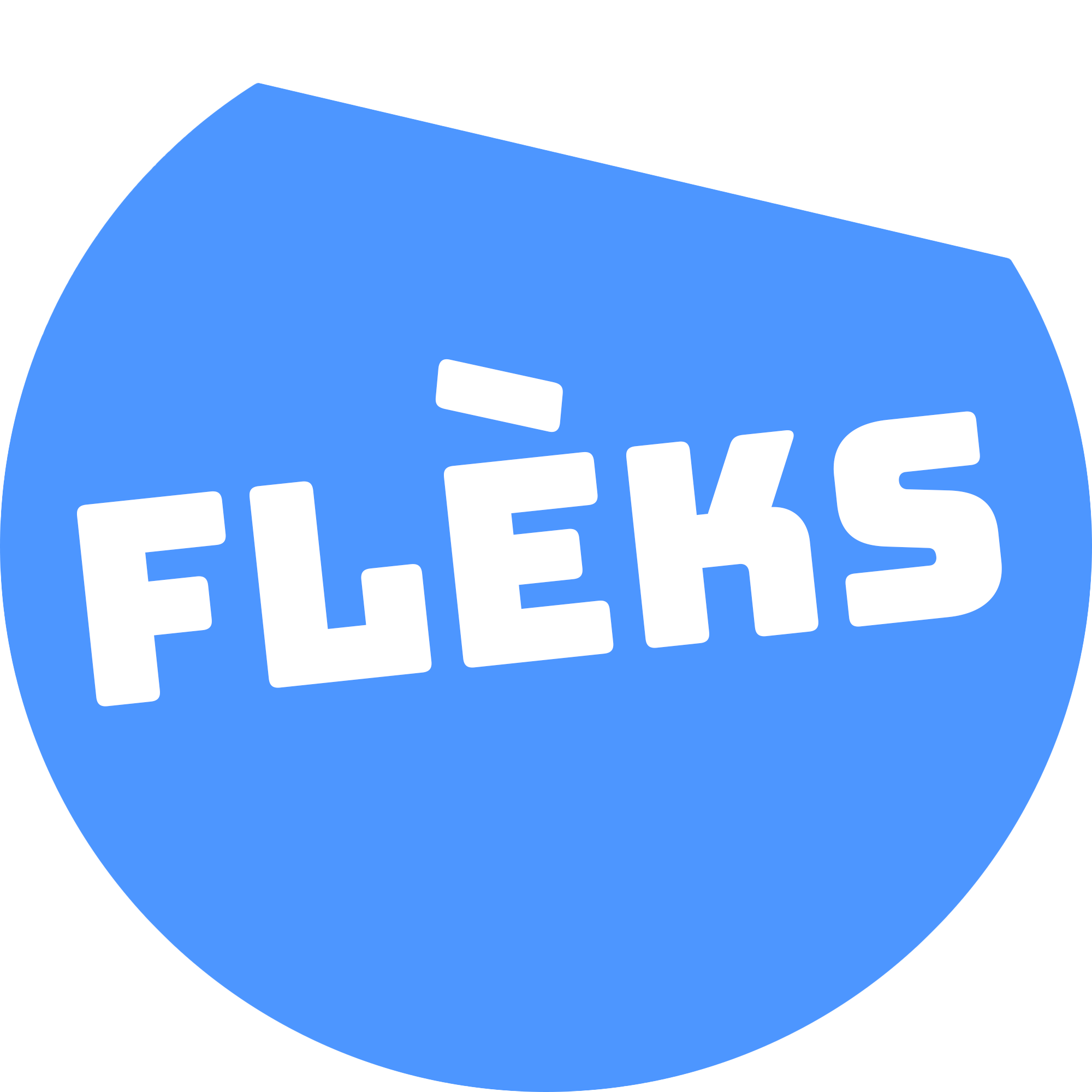 fleks logo